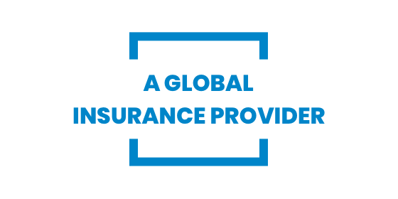 Global Insurance Provider